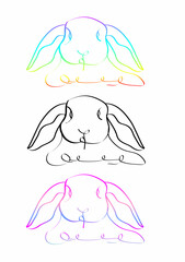 The image of a rabbit created from lines creates an image.