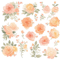 Peach roses pattern background