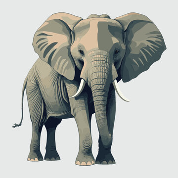 Elephant vector illustration isolated on white background. Cute elephant cartoon	