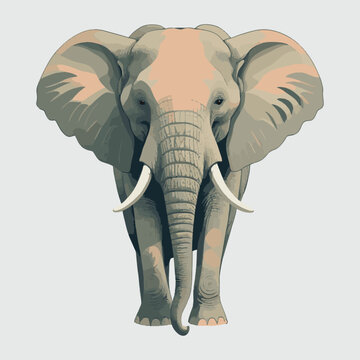 Elephant vector illustration isolated on white background. Cute elephant cartoon	
