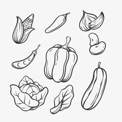 vegetables doodle set hand drawn illustration
