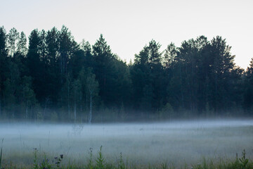 Evening fog in a field in the village of Baranchinsky, Ural. July 2023.