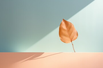 A singular autumn leaf, touched with the hues of the season, rests elegantly on a pastel-colored canvas. The minimalist scene is imbued with a sense of light-filled composition