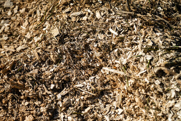 pile of wood chips in china