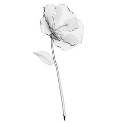 Glass hibiscus flower 3D