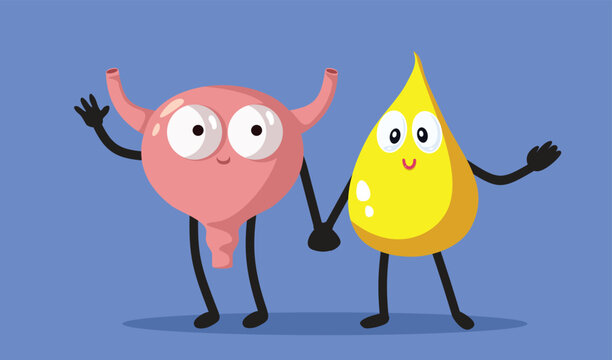 Happy Bladder and Pee Drop Vector Cartoon Humorous Illustration. Funny characters related to toilet training for kids

