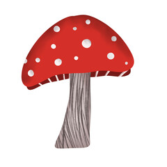autumn mushroom illustration