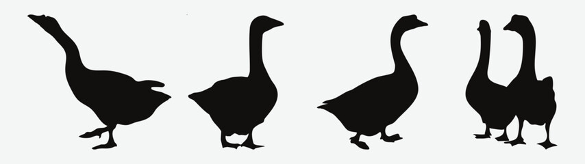 Graceful Silhouettes of Majestic Goose Birds in Various Poses, Vector Avian Beauty for Your Projects
