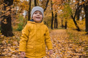 A little boy in a yellow raincoat plays and walks in the autumn forest among maple trees. Autumn mood, rainy weather. leaf fall