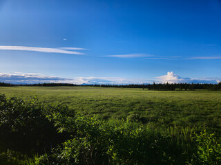 Tundra in Alaska during Summer