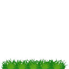 Obraz premium Grass illustration