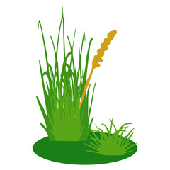 Grass illustration