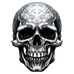 Foto auf Acrylglas Aquarellschädel skull on black clipart watercolor clip art water color