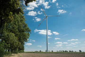 turbina wiatrowa na polu uprawnym w słoneczny dzień. Krajobraz rolniczy. Koncepcja czystej energii. - obrazy, fototapety, plakaty