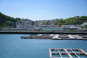 雑賀崎　和歌山県