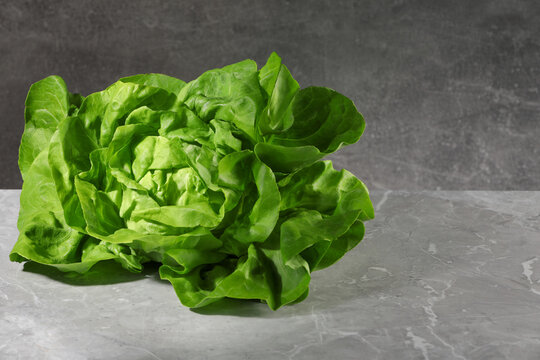 Fresh green butter lettuce on grey marble table, space for text