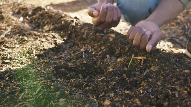 Close-up of young black man crouching while planting seeds in soil of organic vegetable garden