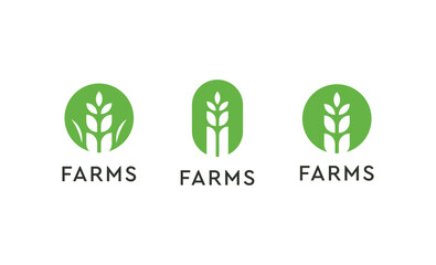 Farm logo design, Wheat farming vector idea, healthy green natural harvest symbol