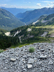 Obraz premium mountain river in the mountains