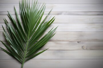 Palm leaf on wooden background. Top view with copy space