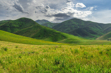 Cloudy sky over green hills and green flowering meadow.