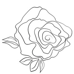 Floral silhouette art line. Flowers in continuous line drawing style. Border with tropical flower. Minimalist black linear sketch. Trendy vector illustration isolated. Contour graphics for design