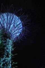 Fotobehang beautiful tree in night at garden by the bay singapore © Pumkhaw