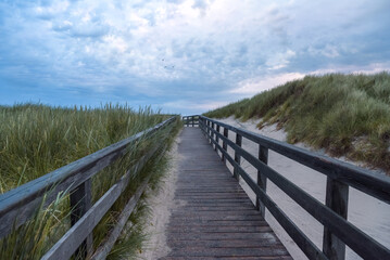 Fototapeta na wymiar Wooden footpath over the sand dunes covered in marram grass on Sylt island, Germany