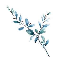 A branch with leaves on white background