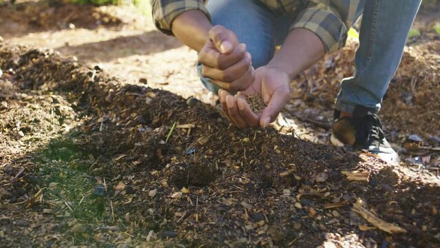 Close-up of young black man crouching while sowing seeds in soil of organic vegetable garden