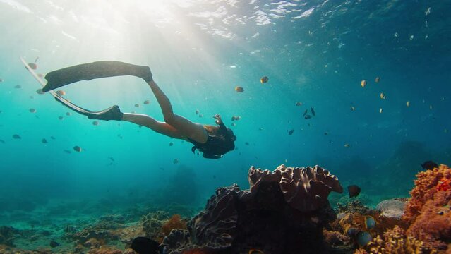 Woman freediver on reef. Young female freediver swims underwater and explores the healthy coral reef on the island of Nusa Penida in Bali, Indonesia