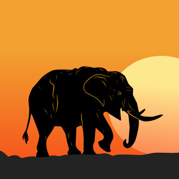 Black elephant vector illustration with sunset background