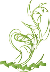 Botanical leaf aesthetic foliage plant for decorative abstract background