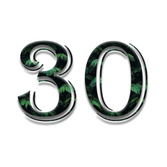 Design number 30 with leaf texture on white background.
