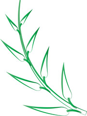 leaf foliage plant botanical for decorative abstract background