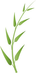Fototapeta premium leaf foliage plant botanical for decorative abstract background