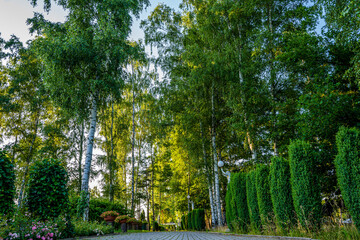 Park z drzewami liściastymi, pięknymi trawnikami, klombami kolorowych kwiatów i alejkami. Lato na Śląsku w Polsce, Rogów gmina Gorzyce. © Franciszek
