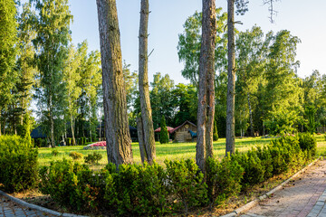 Park z drzewami liściastymi, pięknymi trawnikami, klombami kolorowych kwiatów i alejkami. Lato na Śląsku w Polsce, Rogów gmina Gorzyce. © Franciszek