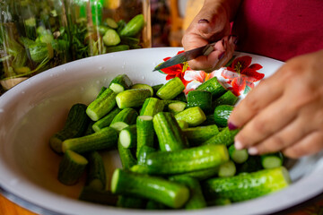 A simple and quick way to pickle tomatoes for the winter: interesting recipes for preparing canned tomatoes cucumber, blackcurrant leaves, cherries, a sprig of parsley and dill; wash thoroughly and dr