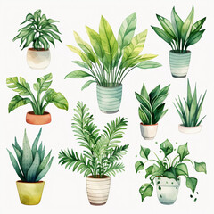 seamless pattern with plants