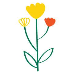 Yellow flowers illustration