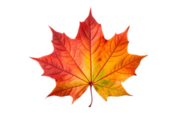 Cut out colorful maple leaf. Generative AI