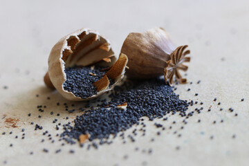 a close up of a cracked poppy head with poppy seeds comming out