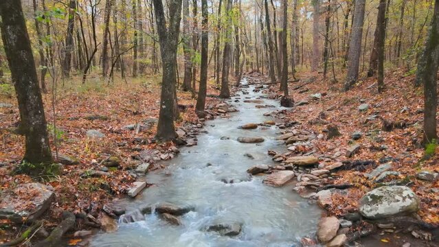 Ozark mountain stream in an Arkansas forest during autumn with relaxing water