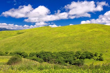 Fototapeta na wymiar 長野県・諏訪市 夏の霧ヶ峰の風景