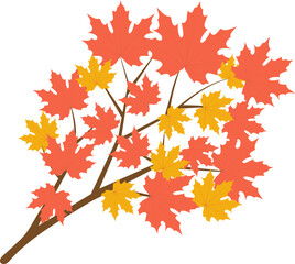 Beautiful maple for autumn season design concept element object.