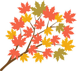 Beautiful maple for autumn season design concept element object.