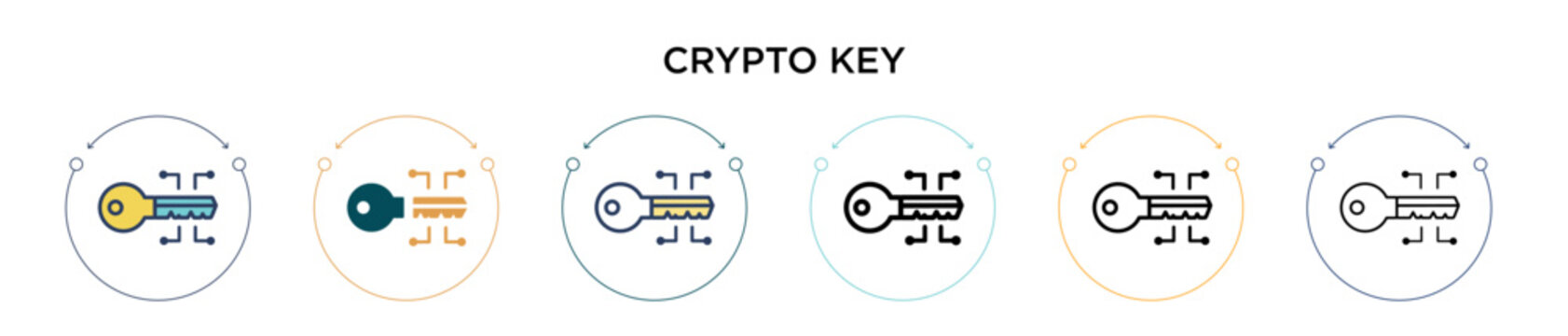 Crypto key icon in filled, thin line, outline and stroke style. Vector illustration of two colored and black crypto key vector icons designs can be used for mobile, ui, web