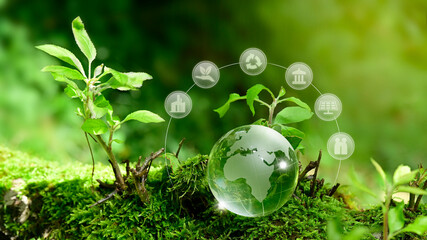 Glass globe earth ball with sustainable development and environment, social, governance and business cooperation for the global concept of sustainable environment and social responsibility - ESG.