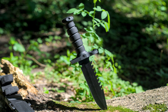 Tactical army knife stuck in a tree in a forest
